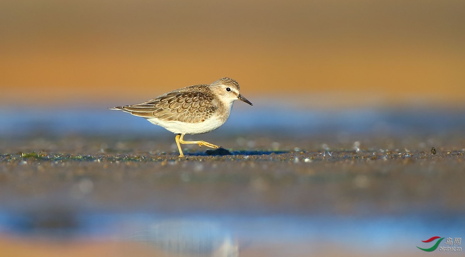 ��è�� ��ʦ����.jpg