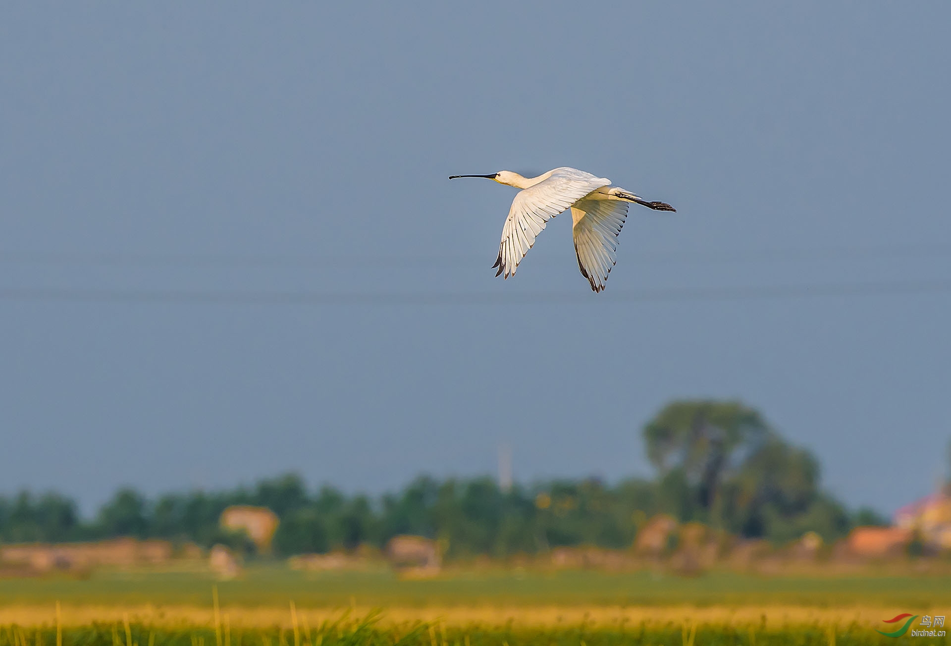 _DSC5655.jpg