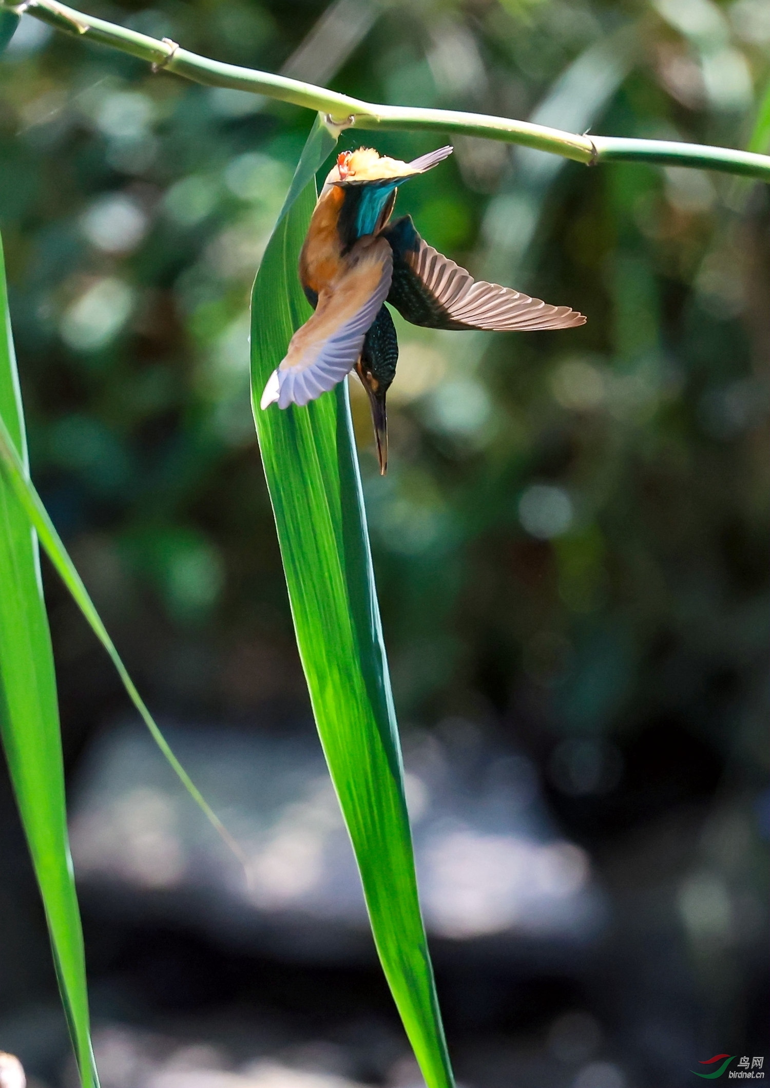 ���·���