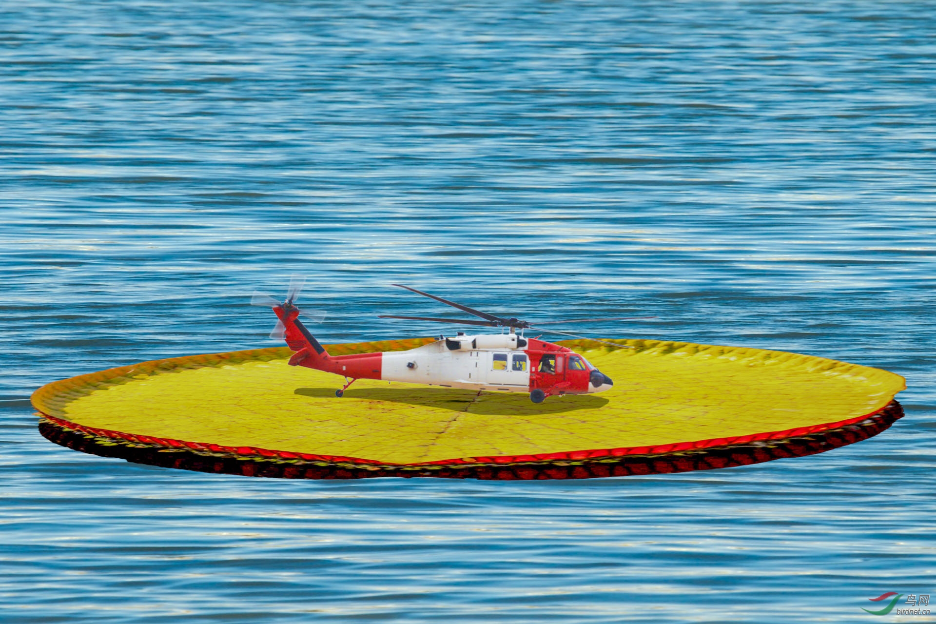 ��˯��Ҷ��һ���̶� 1920x500k.jpg