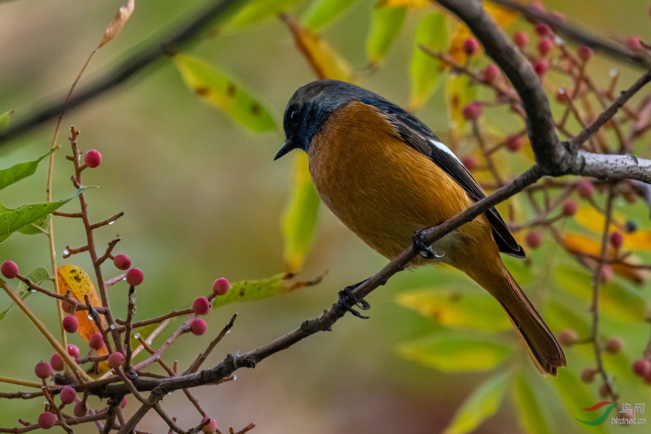 _DSC9673.jpg