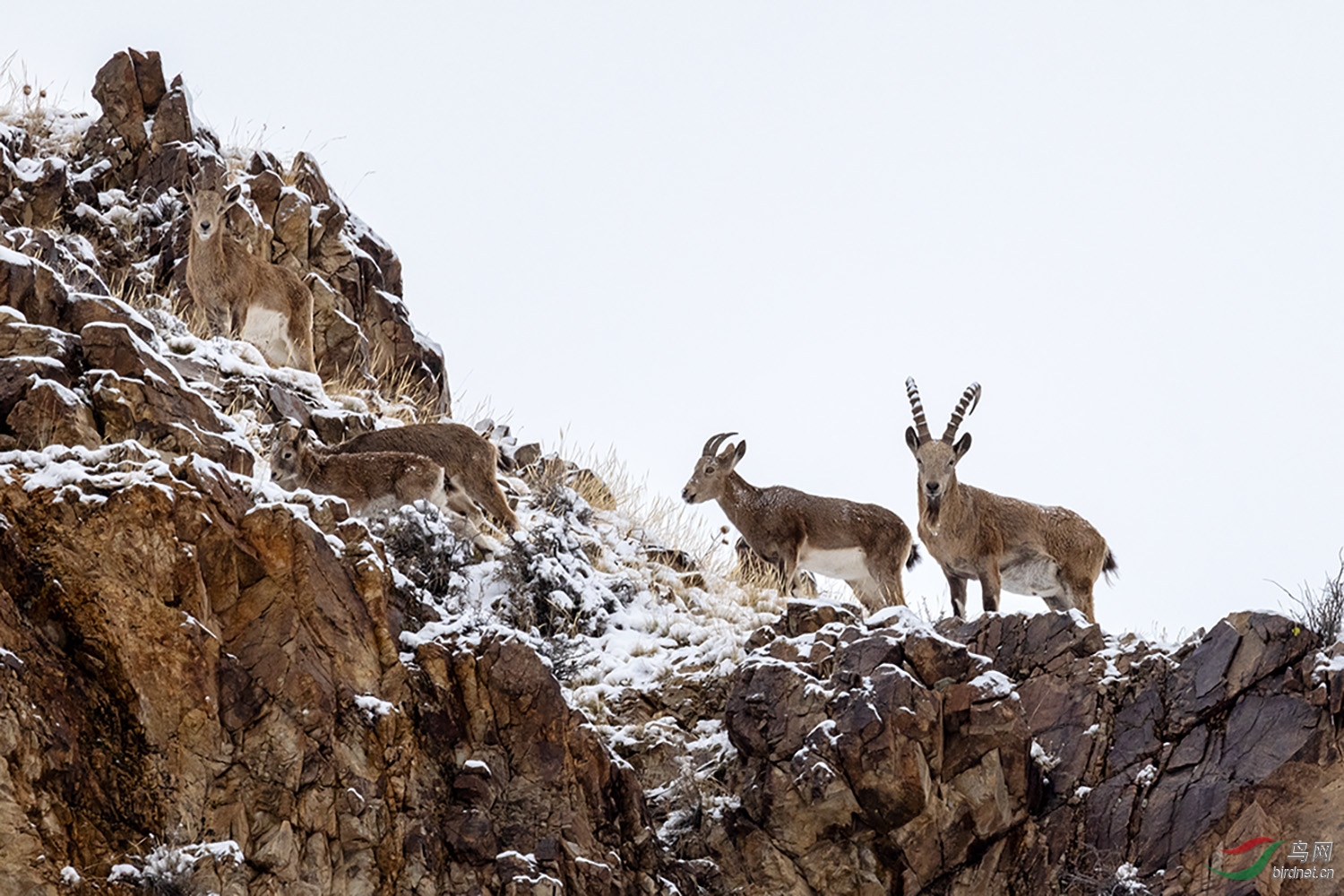 _D9A4260-1nw.jpg