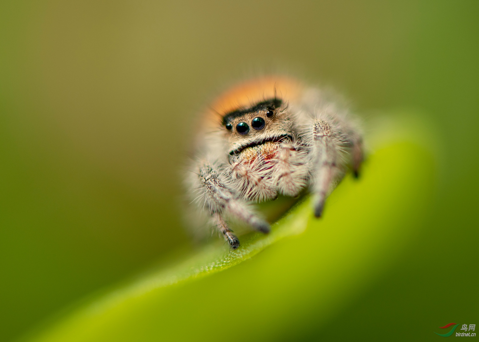 DSC_0701_����.jpg