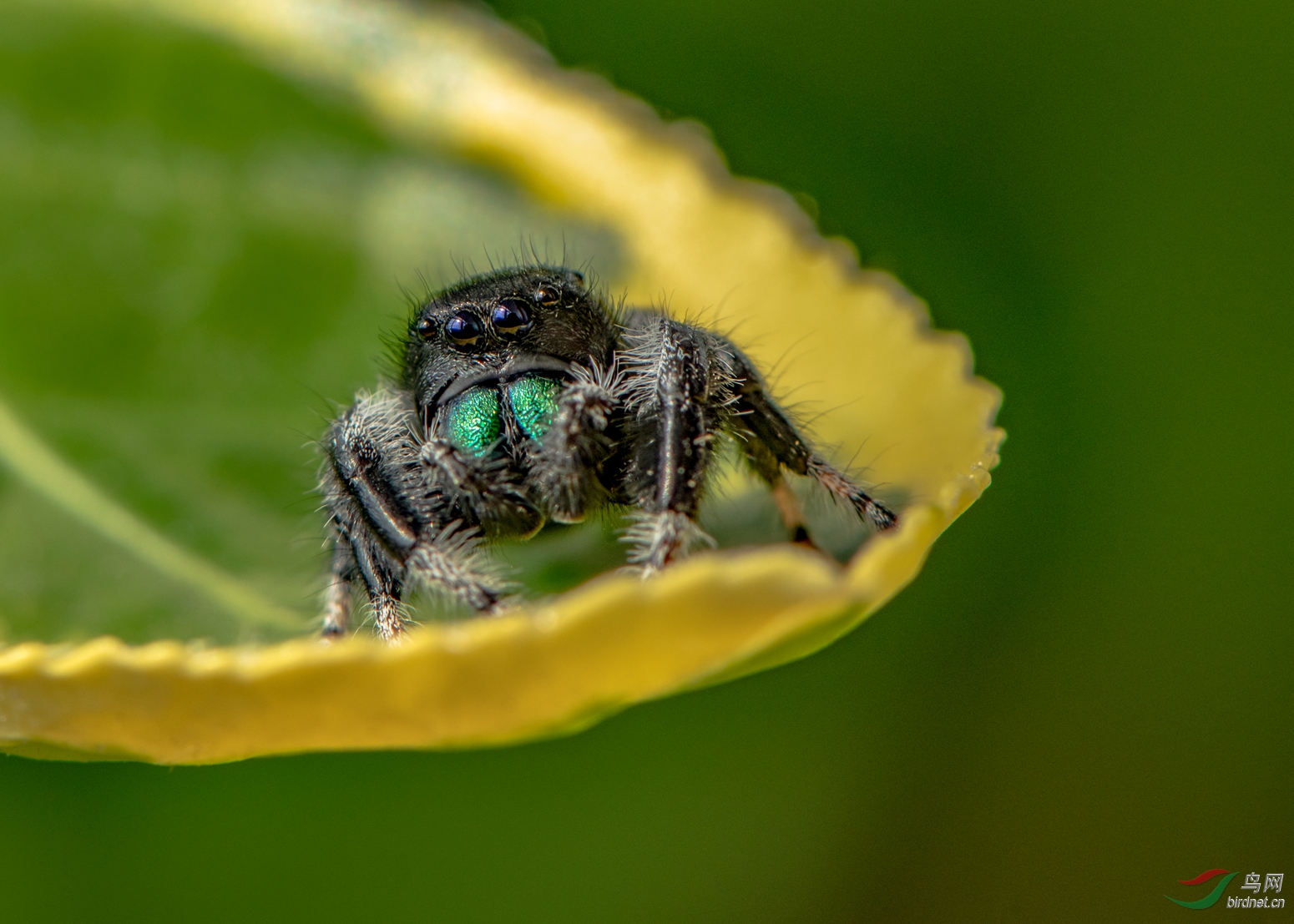 DSC_0758_����.jpg