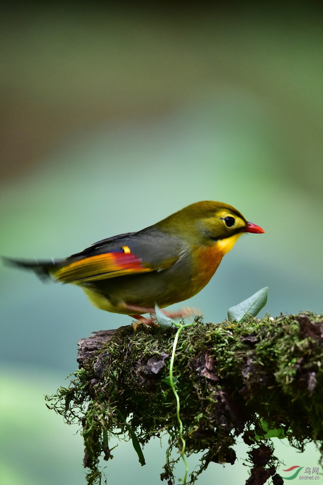 DSC_0761.JPG