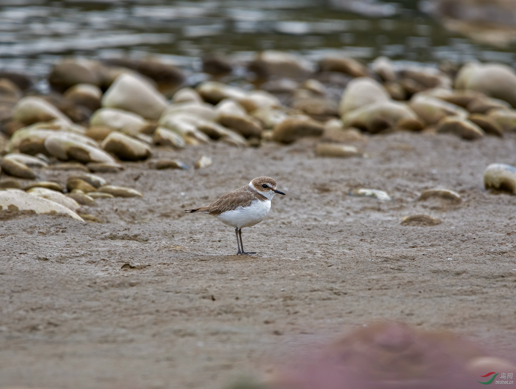 DSC_8165.jpg