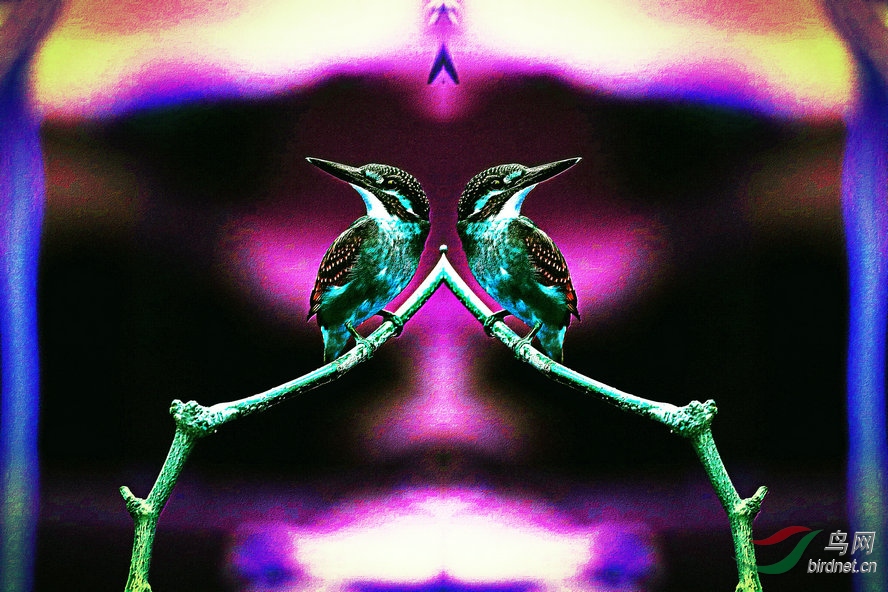 AQ1I7192_����_����2_����.jpg