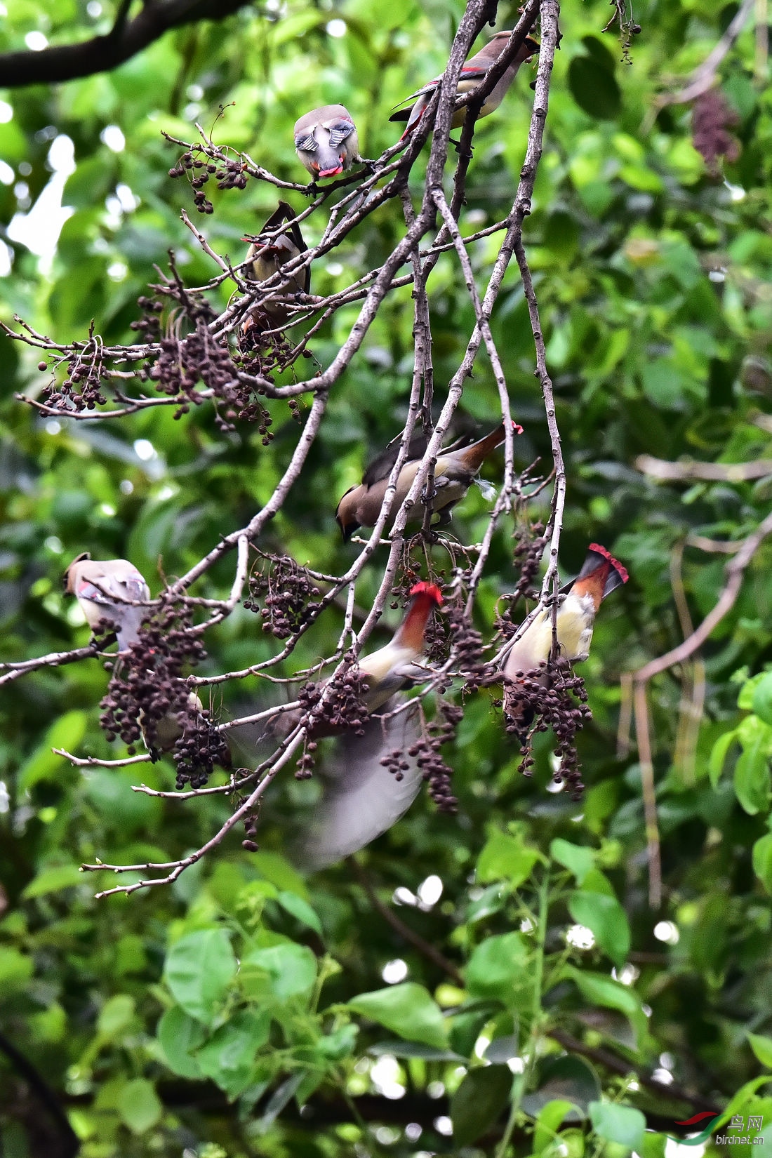 DSC_0770.JPG