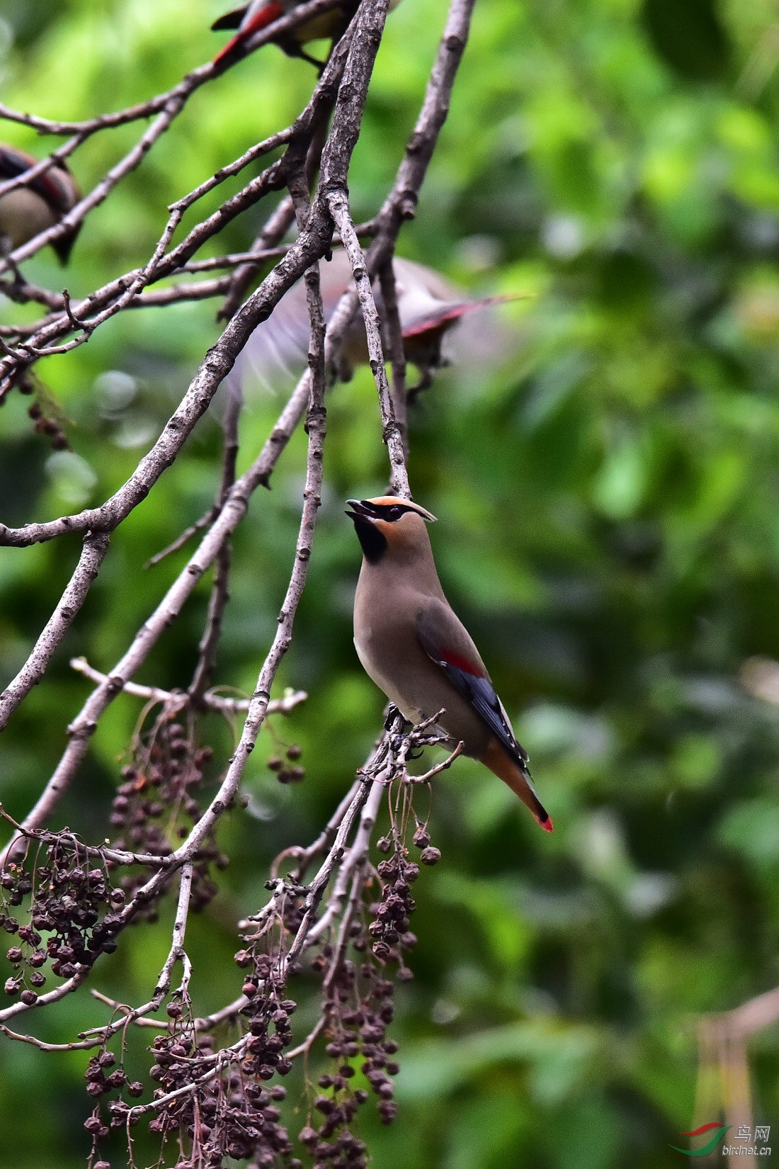 DSC_0771.JPG