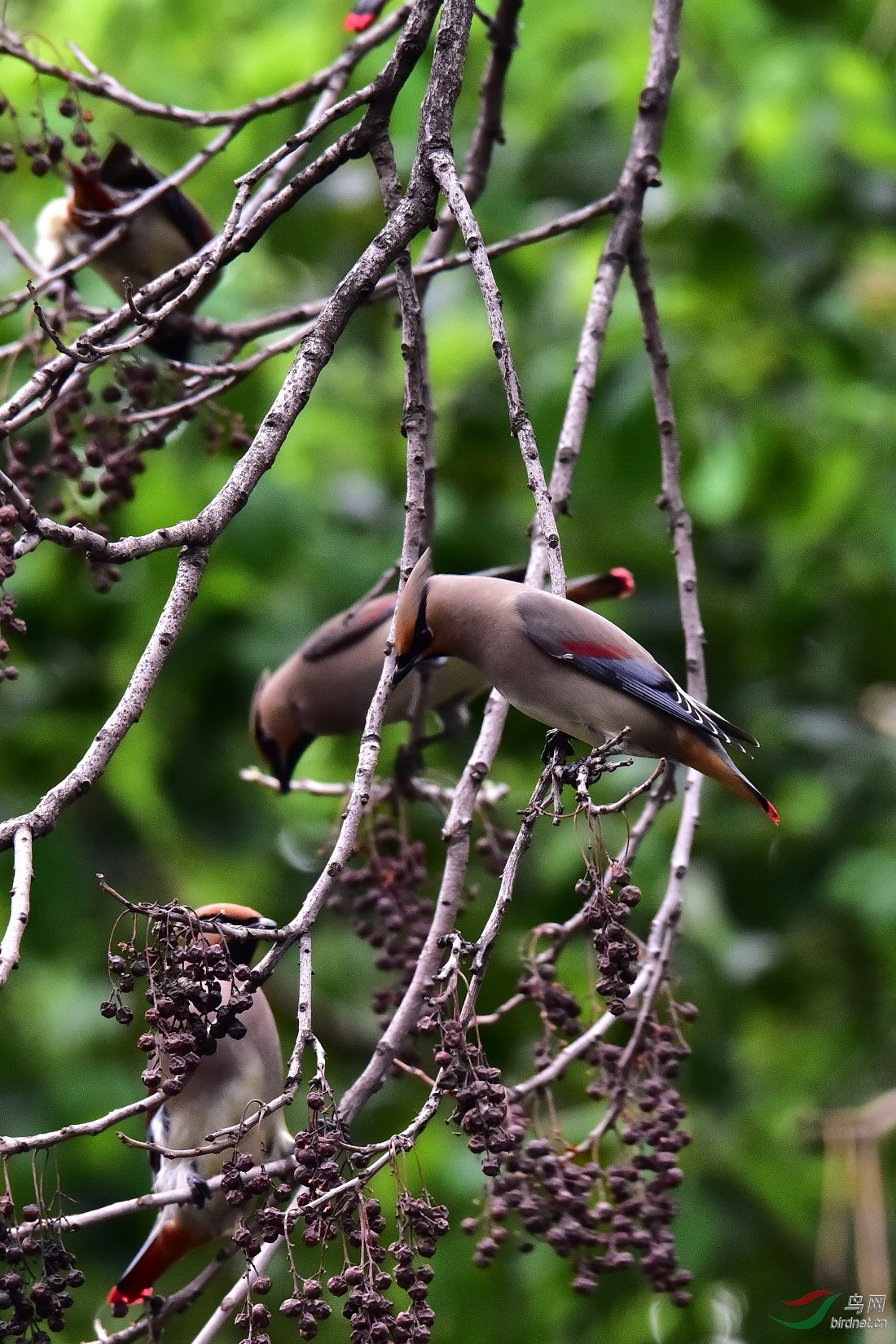 DSC_0773.JPG