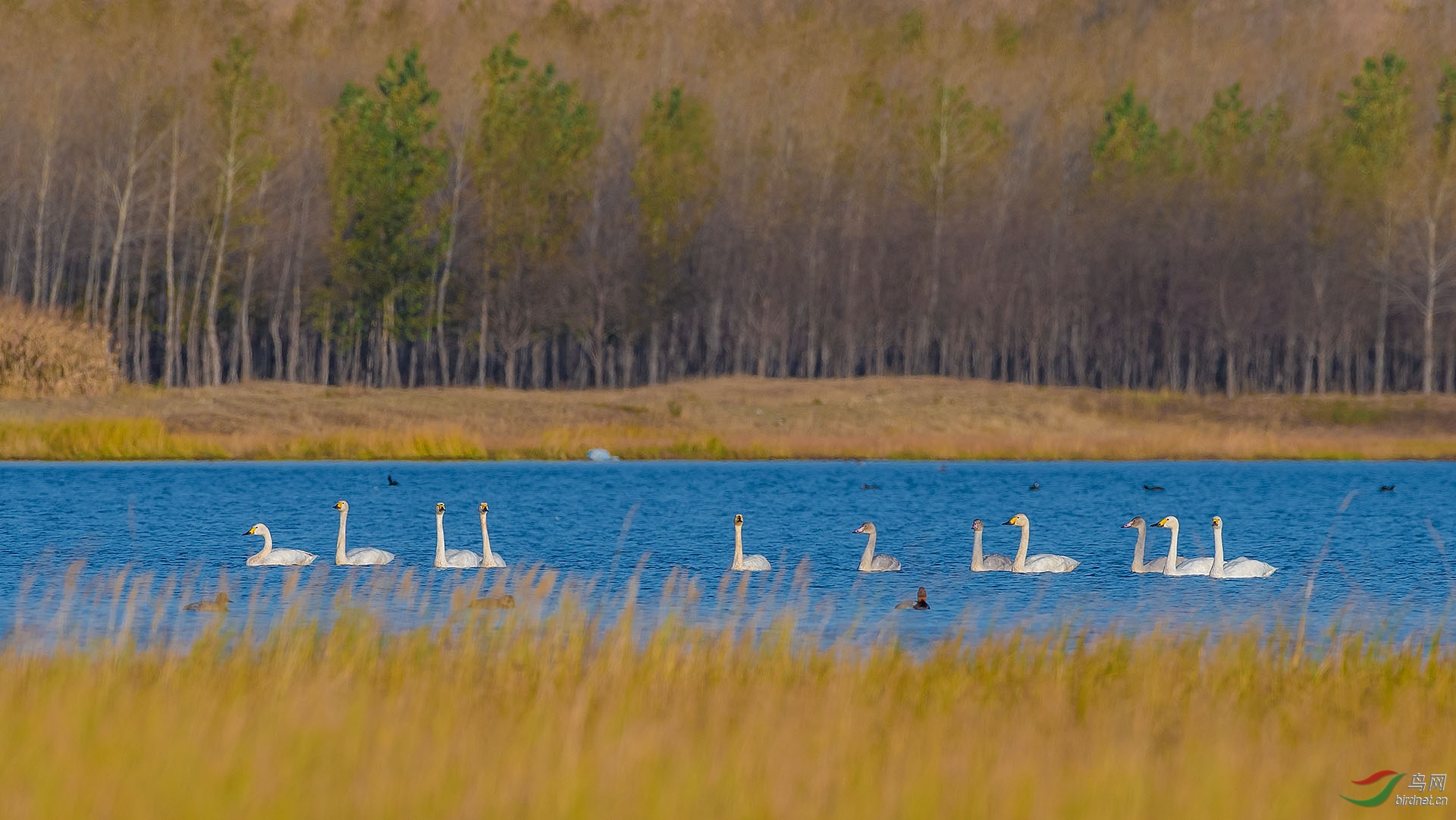 _DSC1707.jpg