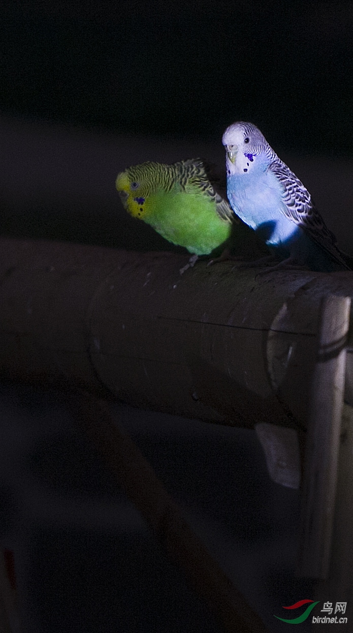 _MG_3585.jpg