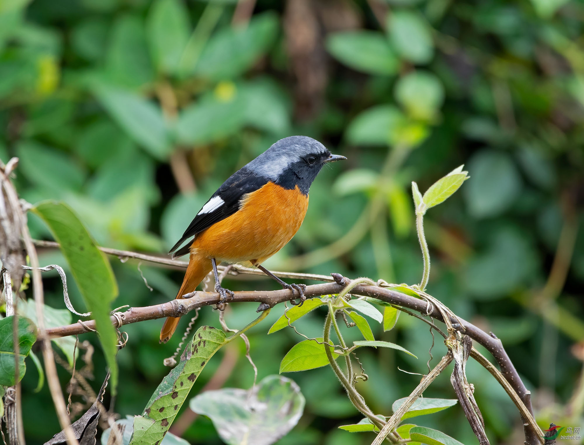 DSC_7887.jpg