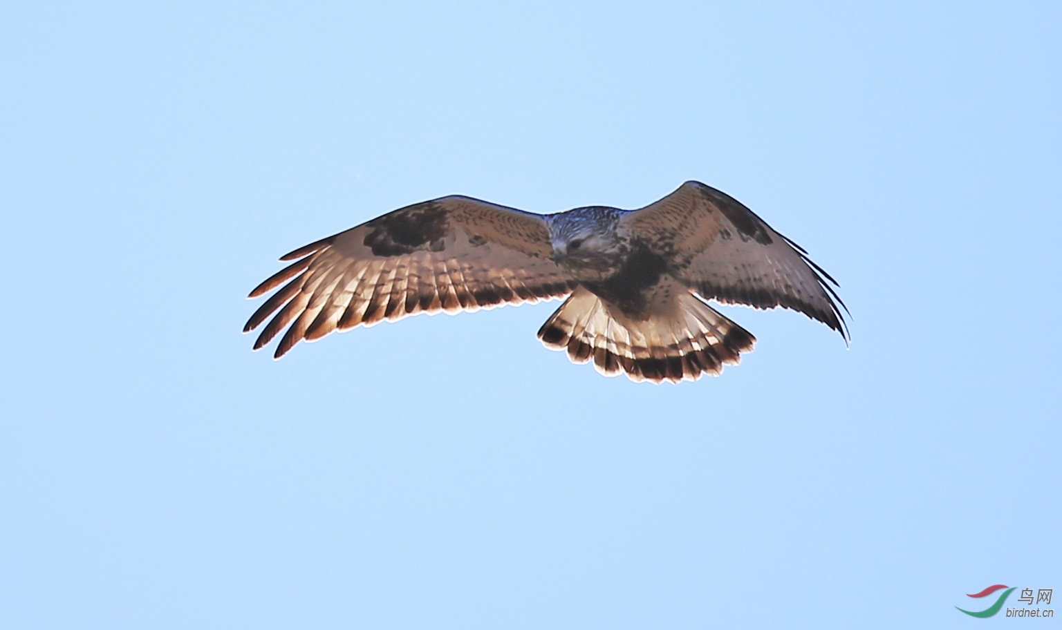 CS3U3850副本 - 副本.jpg