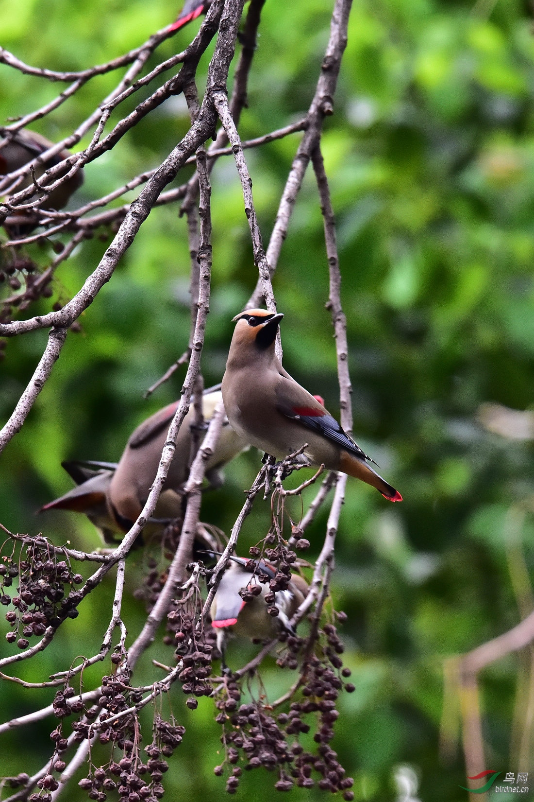 DSC_0779.JPG