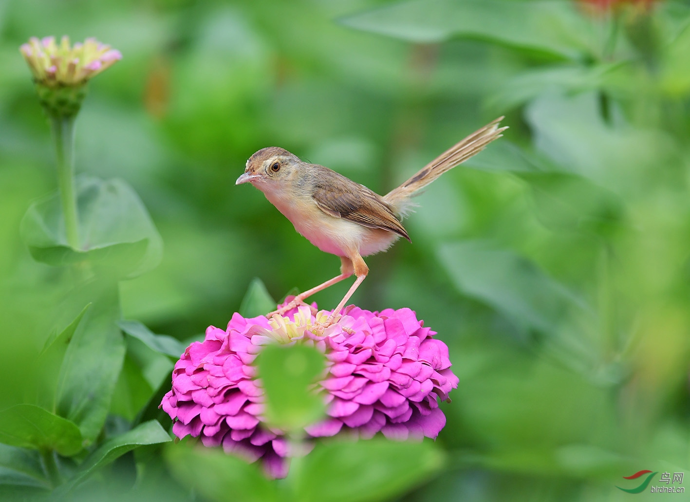 DSC_7787.jpg
