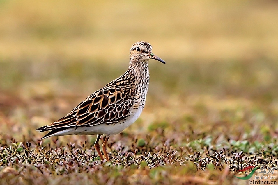 �����б� ��ʦ����������ʡ������.jpg