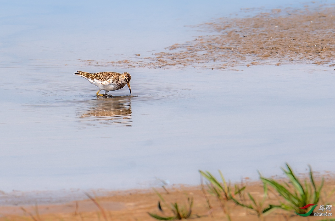 ��ë��Ӱ ��ʦ�������Ϻ����ϻ���.jpg