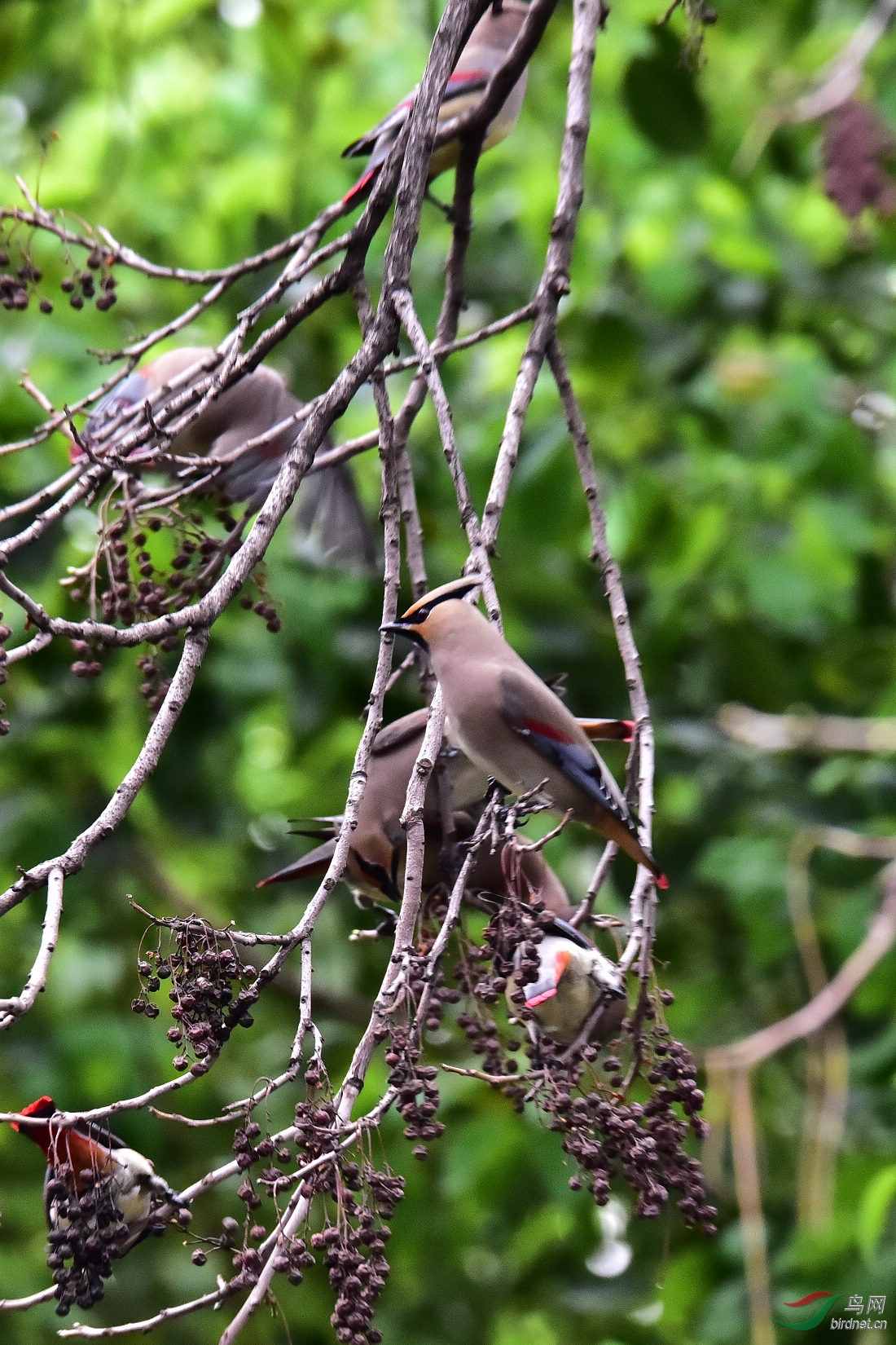 DSC_0782.JPG