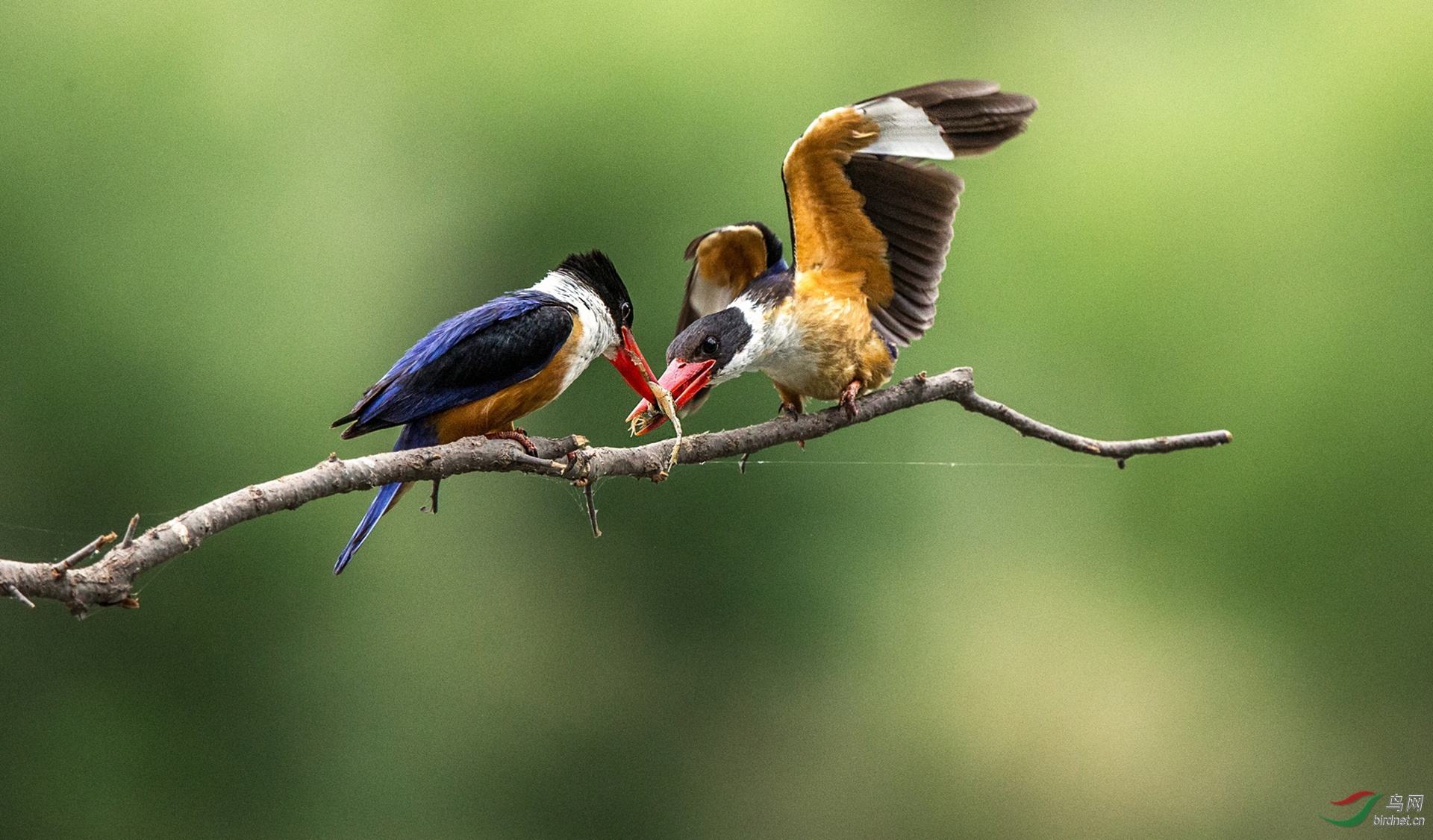 BW4Q4040 - ����.jpg