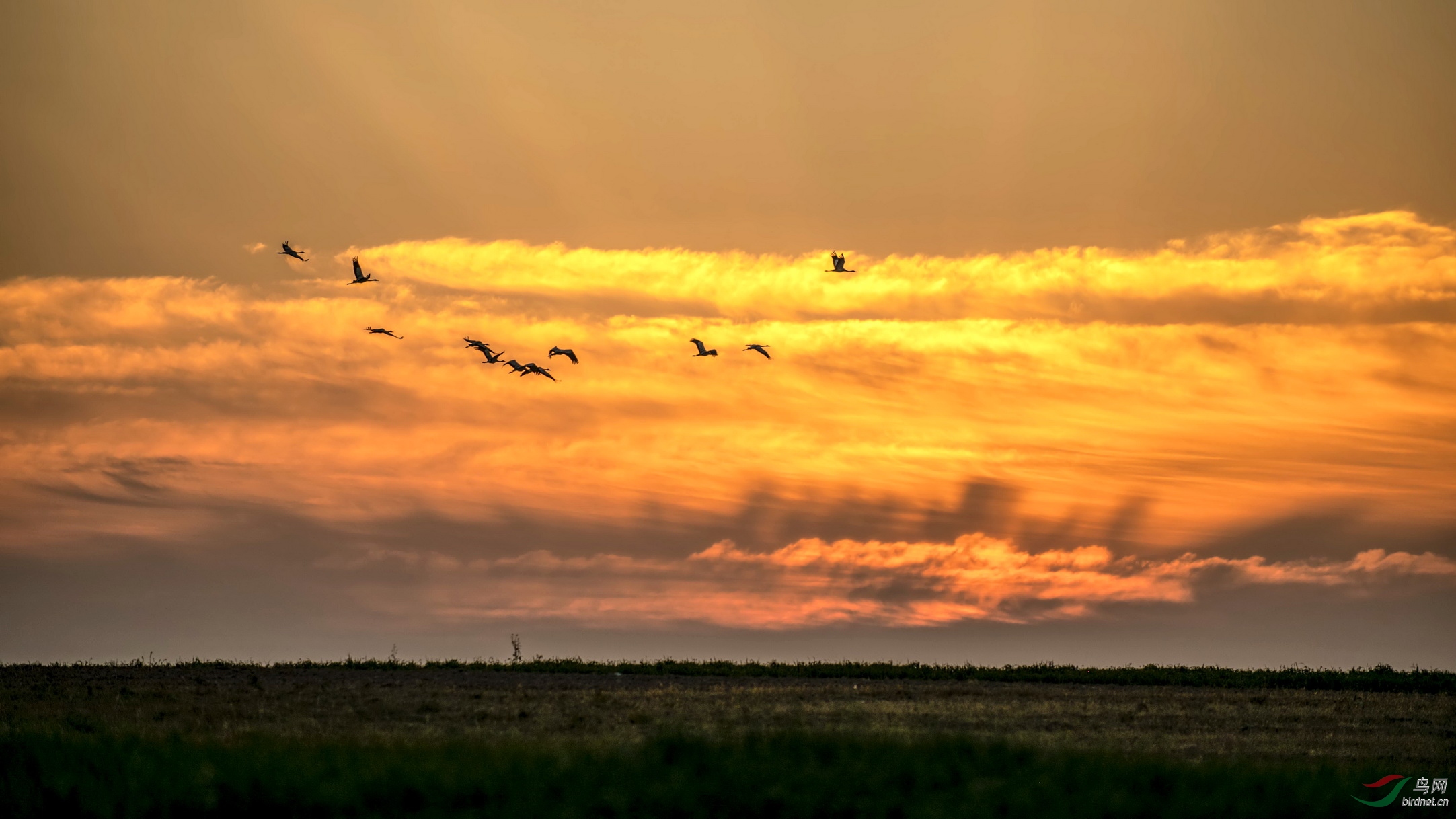 DSC_5102AF01.jpg