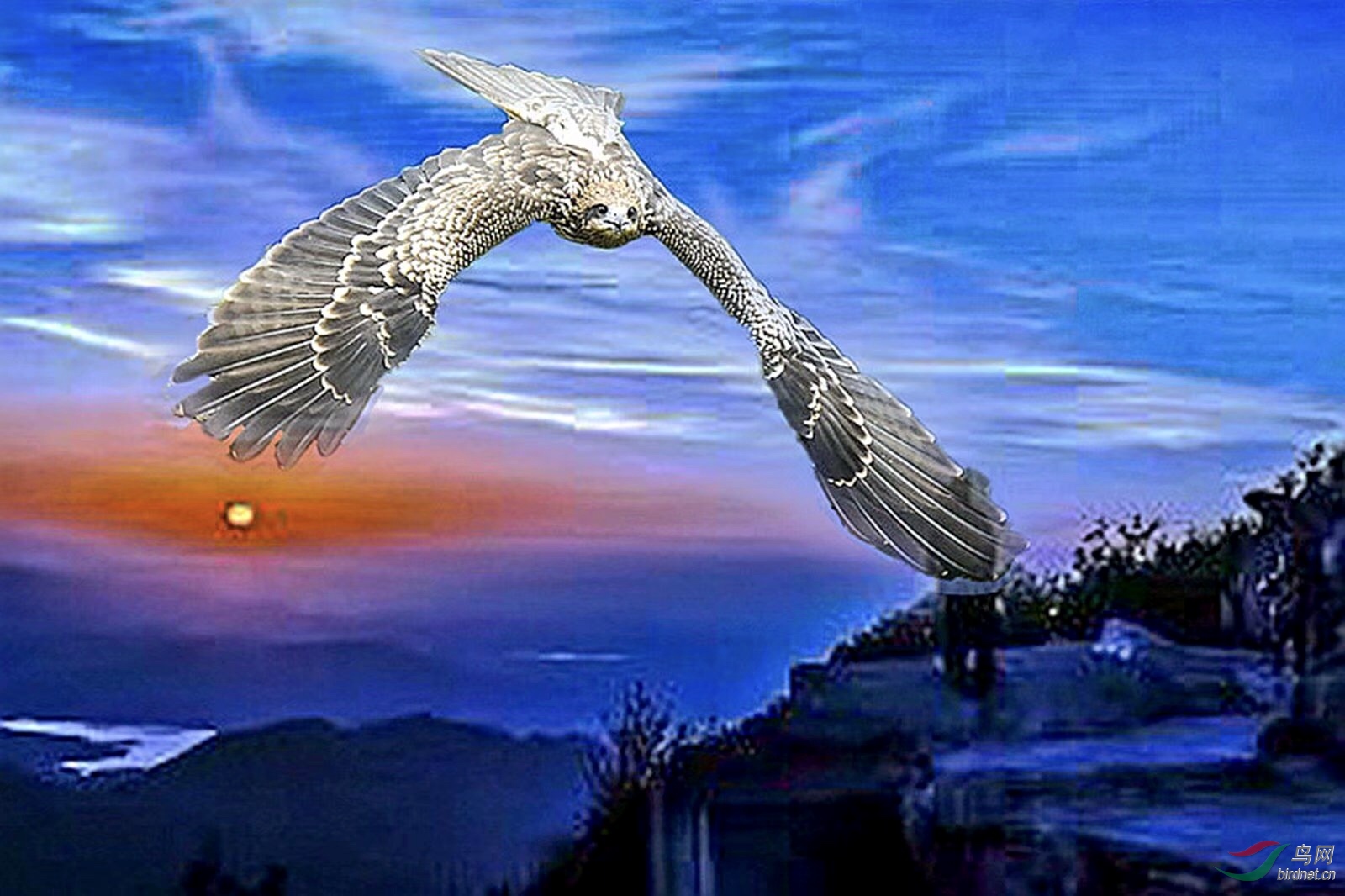 28DD813D-11C1-41D4-B97A-98C685C77E59.jpeg