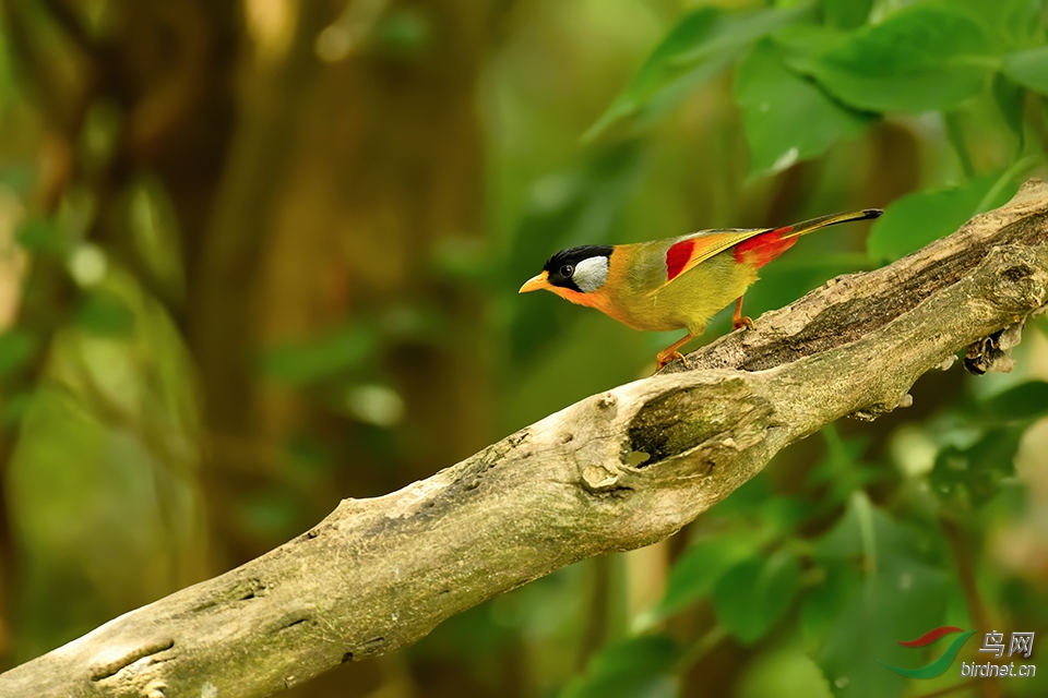 DSC_3018_DxOa.jpg