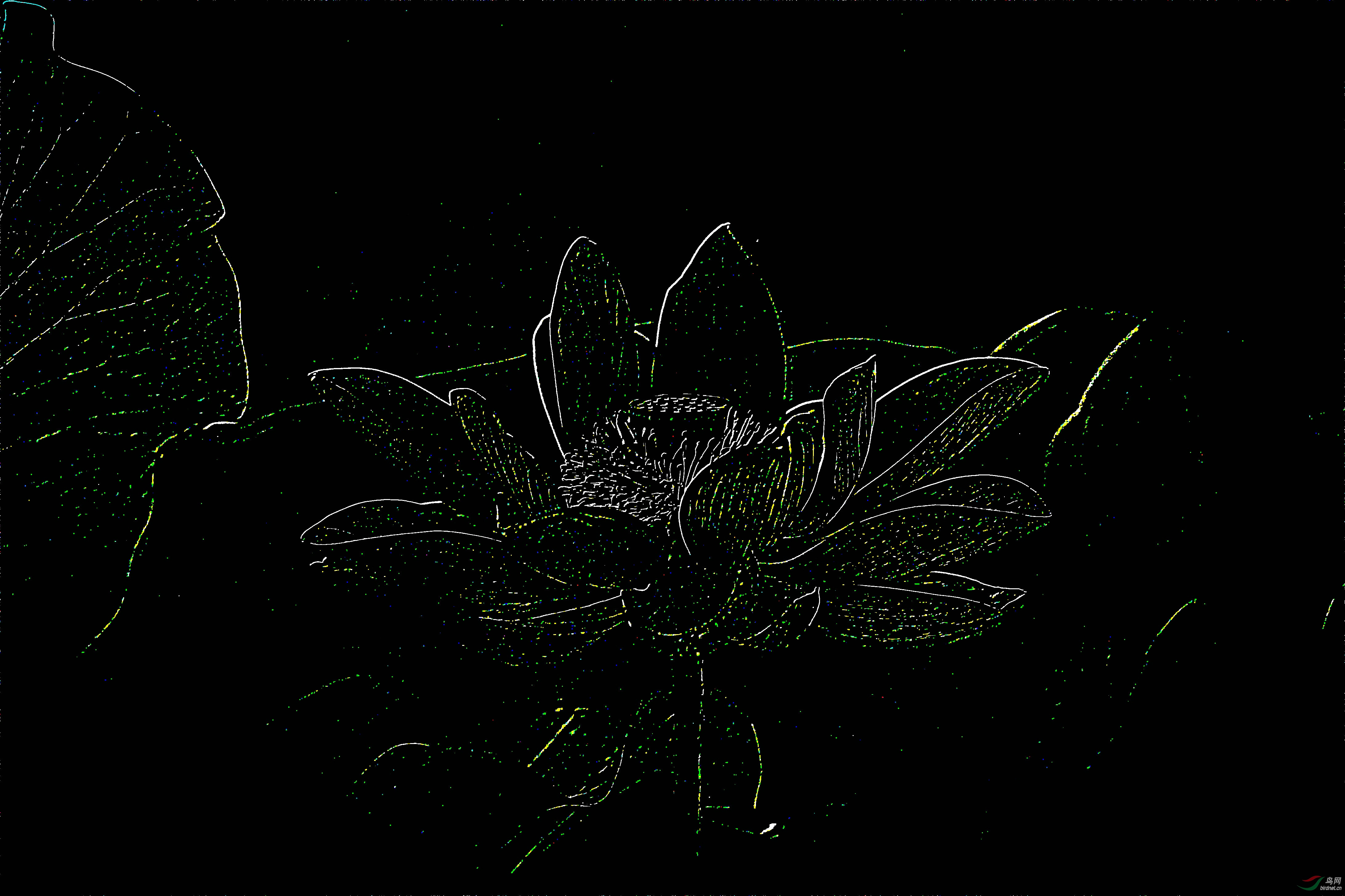 AQ1I7287_����1_����.JPG