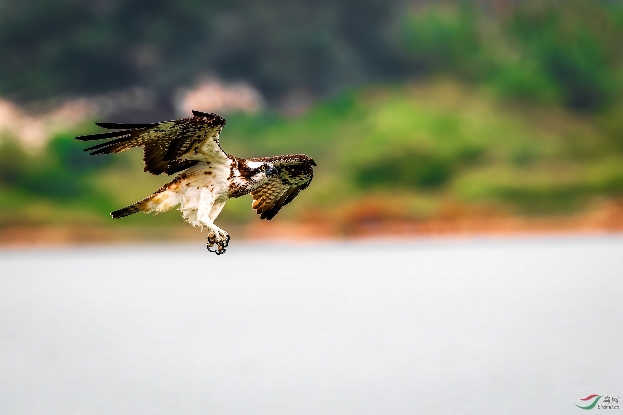 SNQ_1585-1.jpg