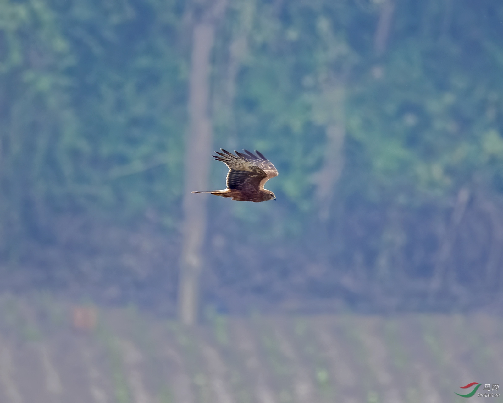 DSC_8949.jpg
