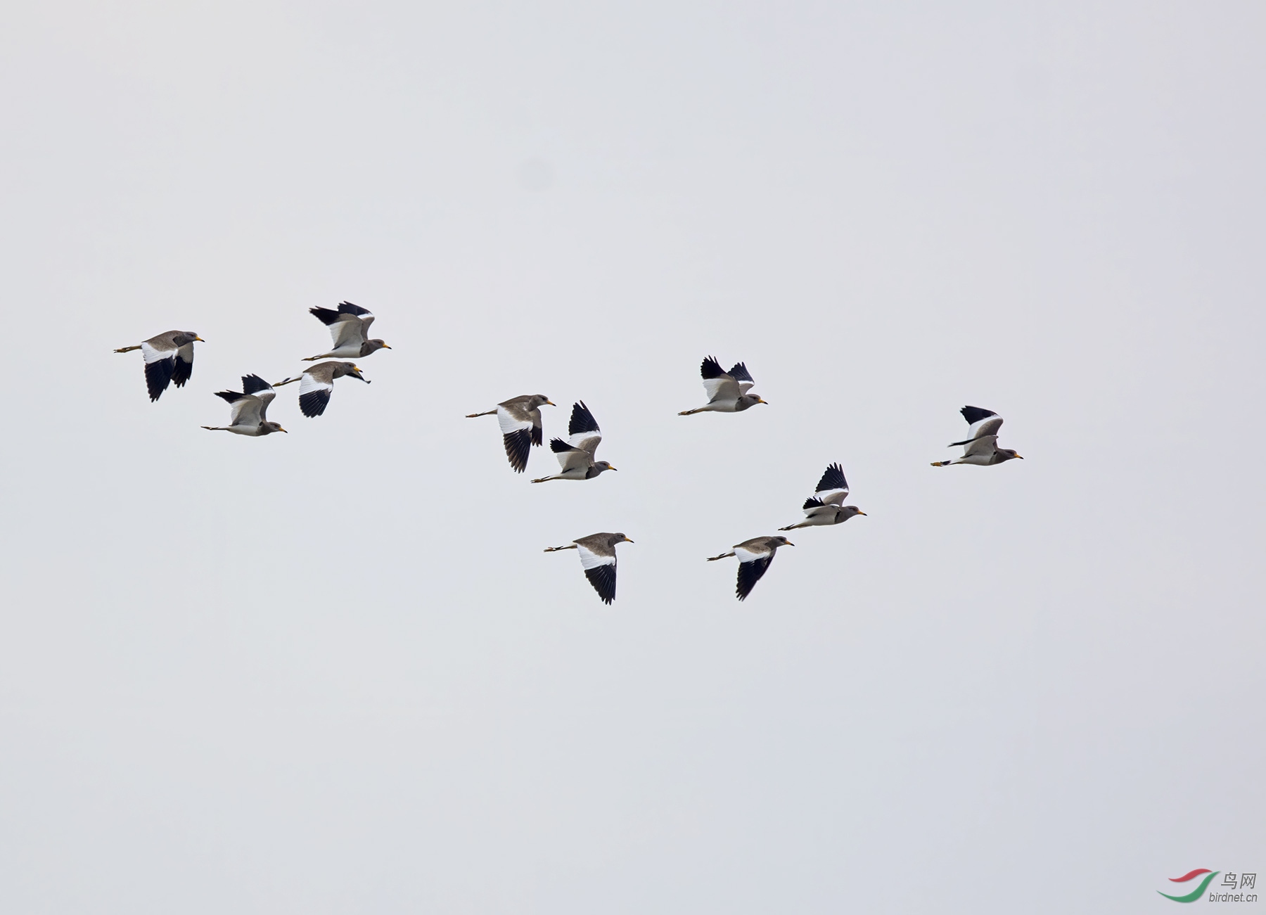 DSC_5502.jpg