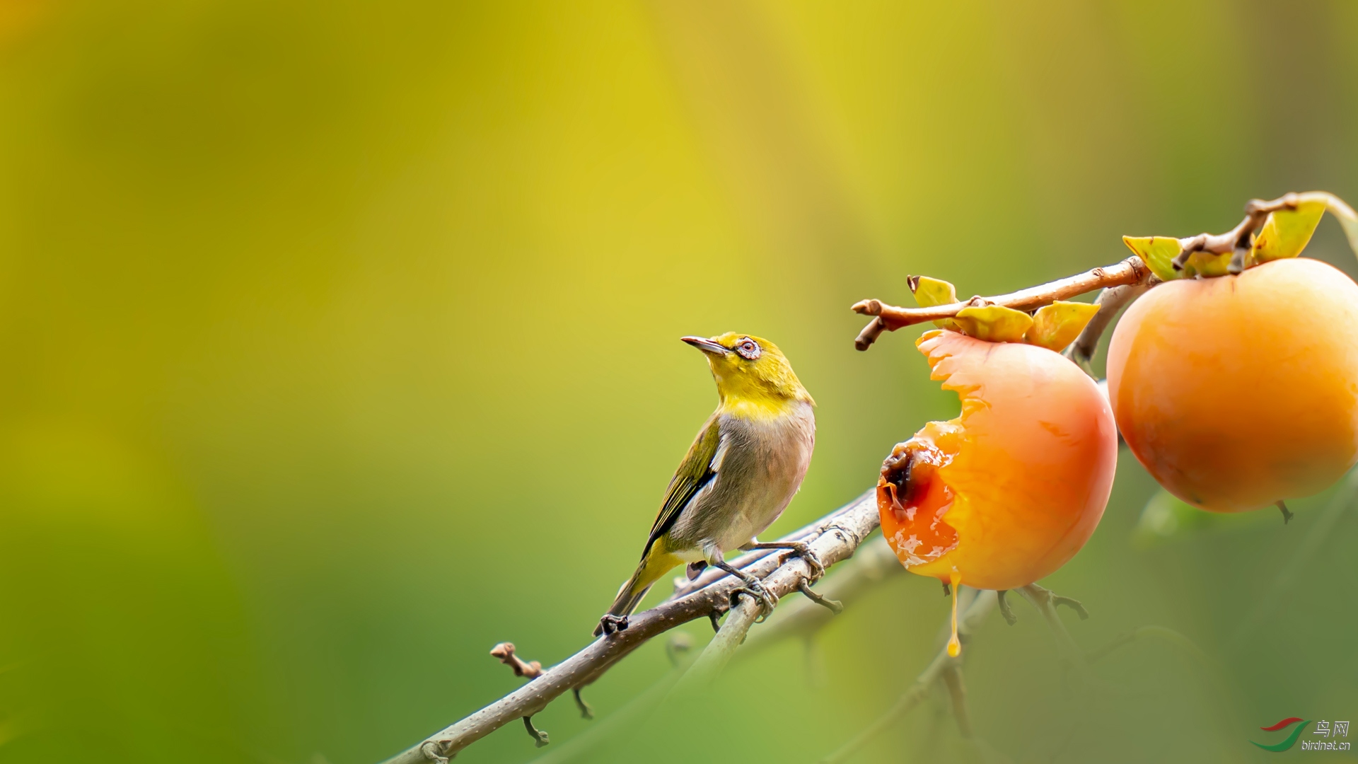 DSC08307-1.jpg