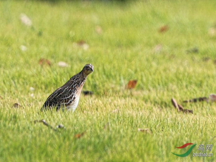 DSC20201019028.jpg