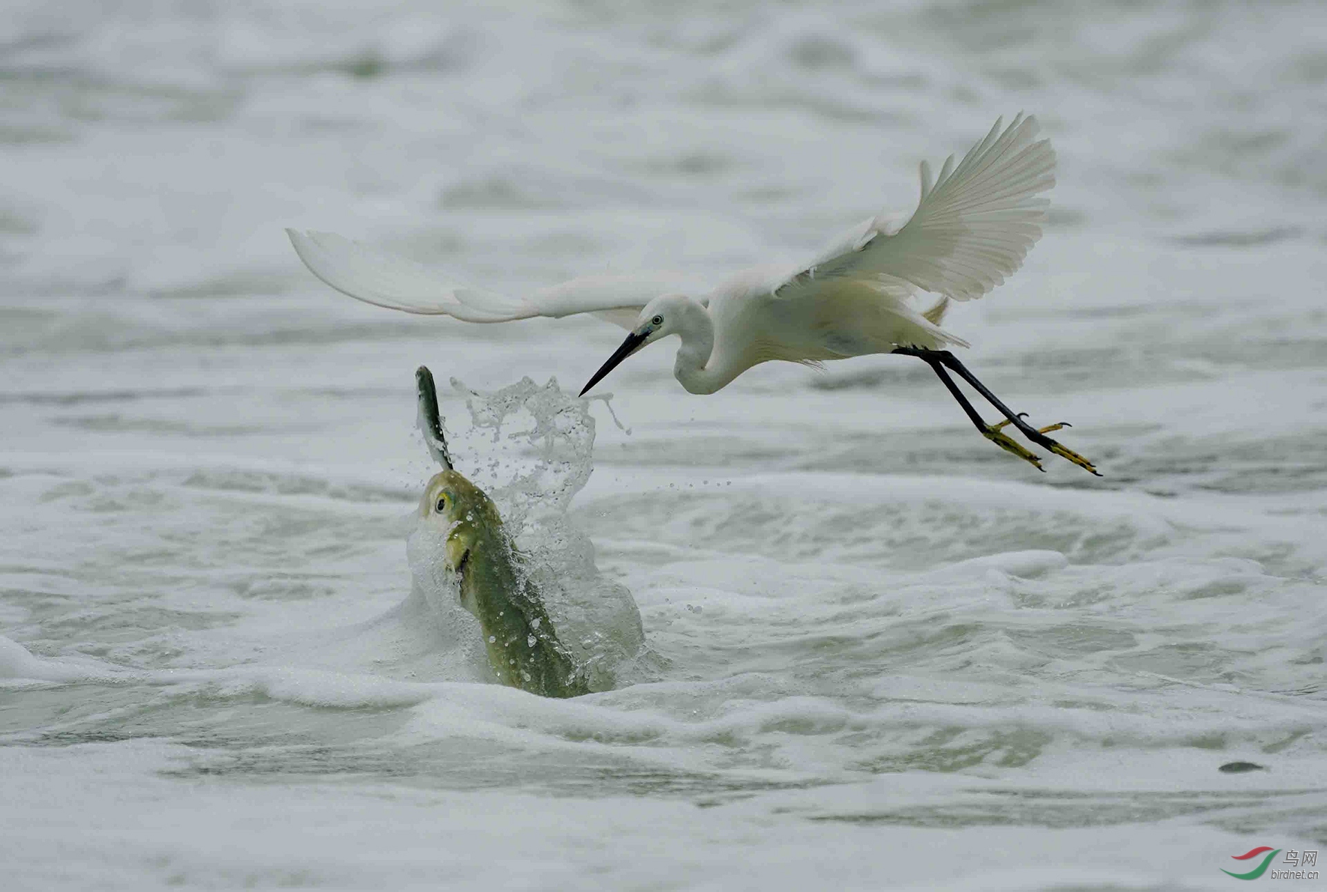 058.《你来晚了！�