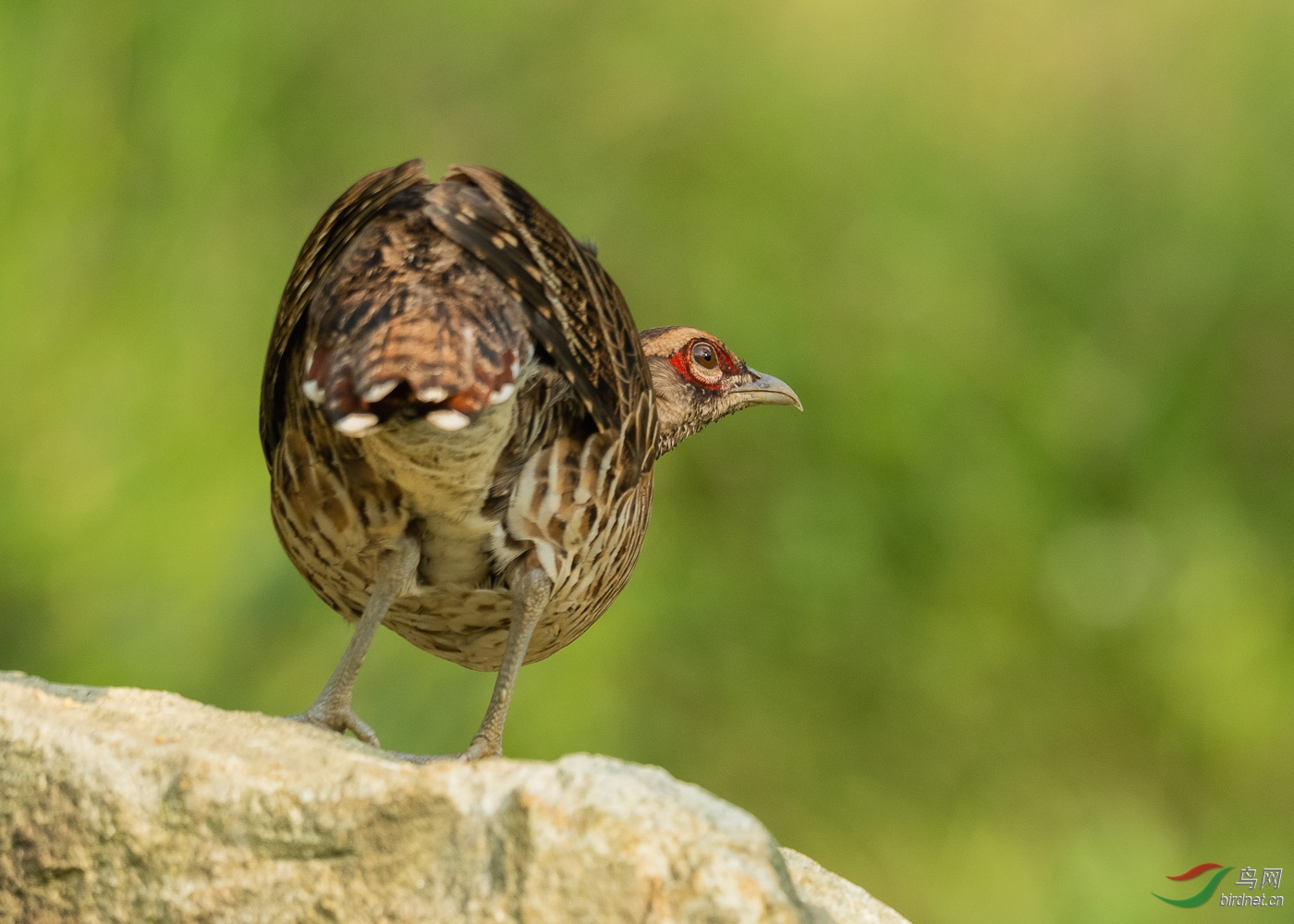 DSC_8145.jpg