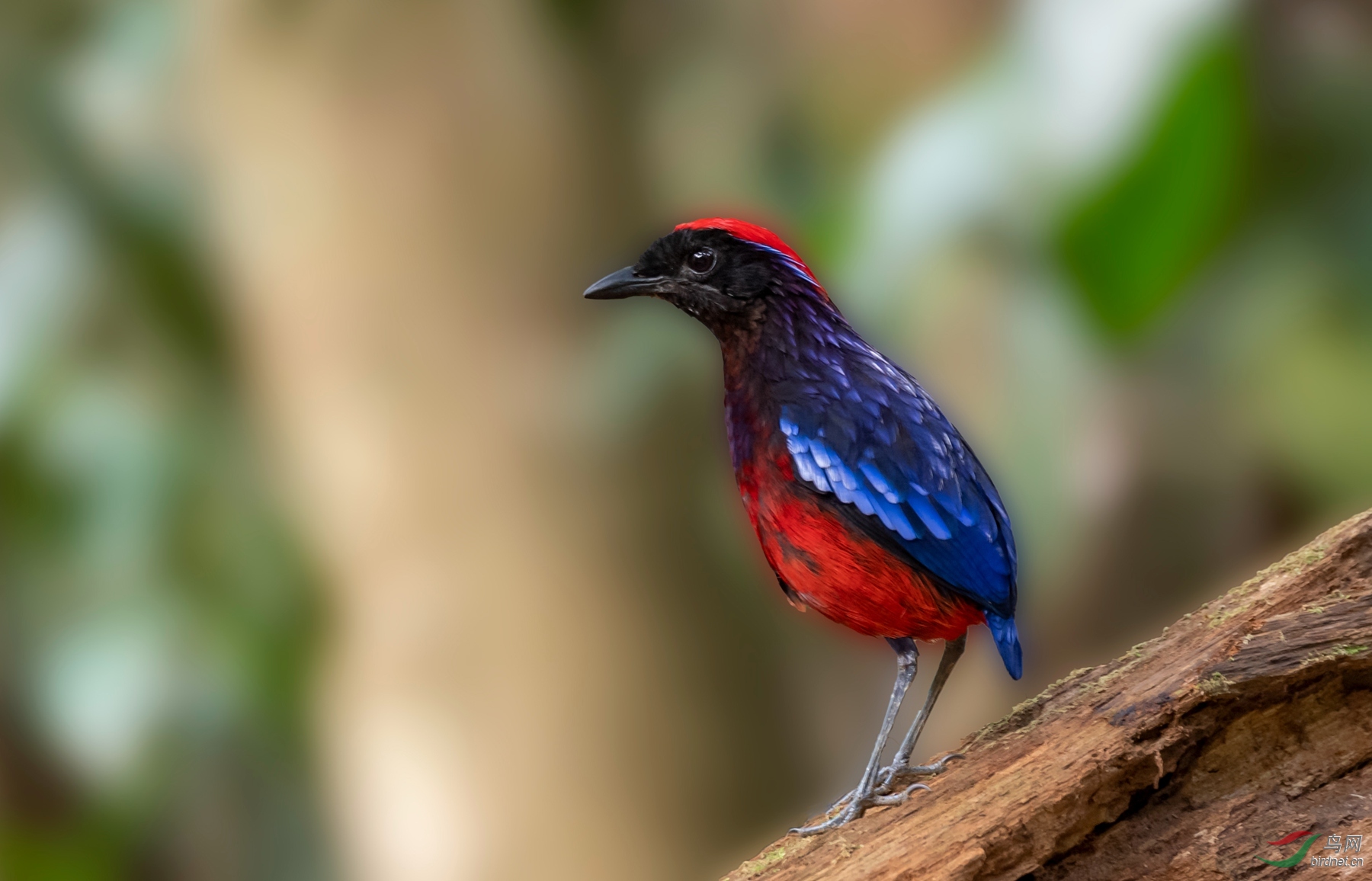 DSC_4973.jpgps4_����.jpg