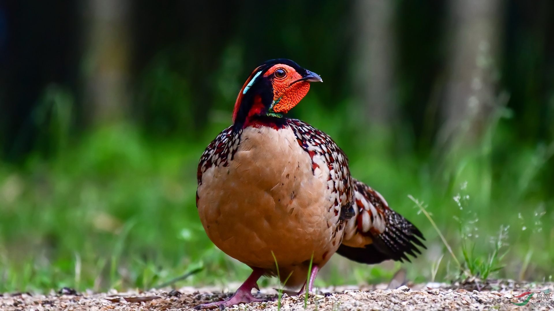 649.大唐“美人�