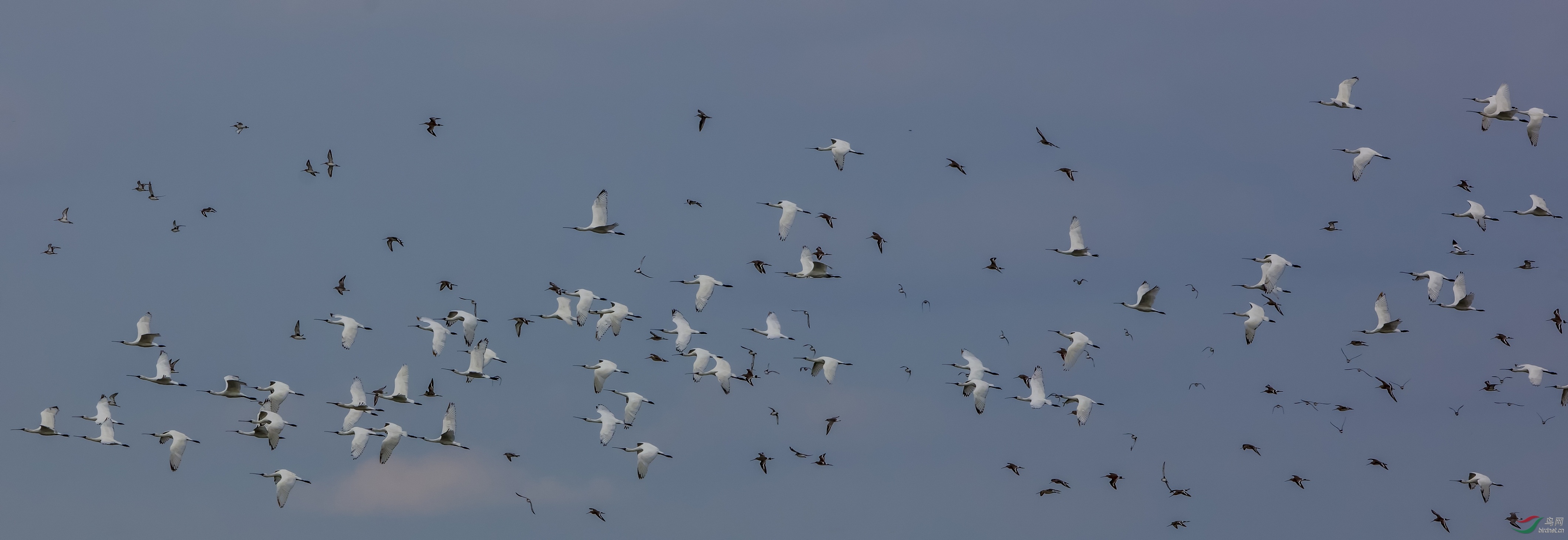 6F5A8445111�������� Ⱥ��.jpg