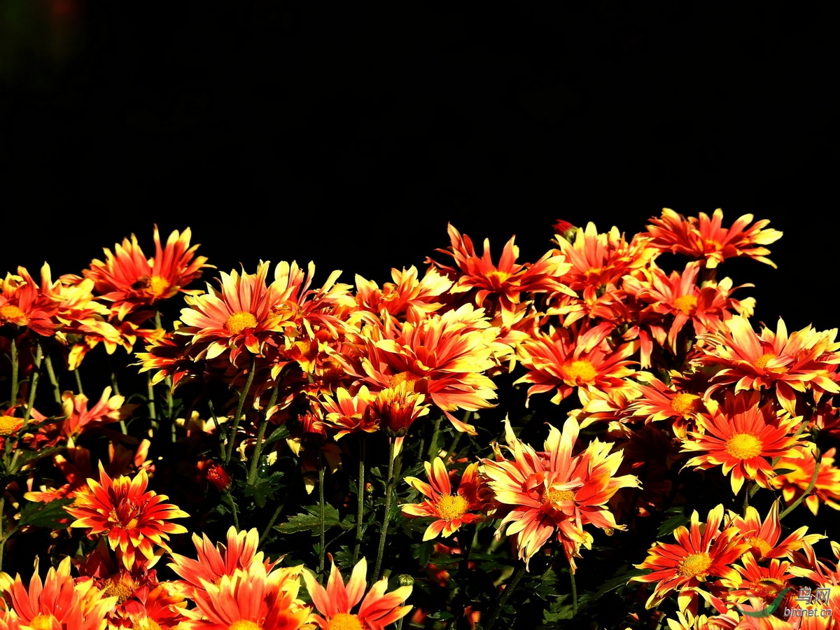 DSCN1798.JPG