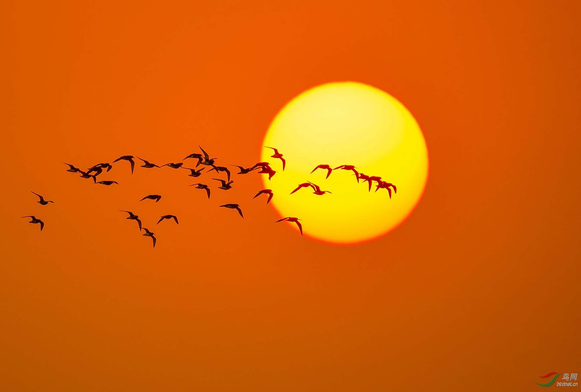 474.当太阳升起的时�