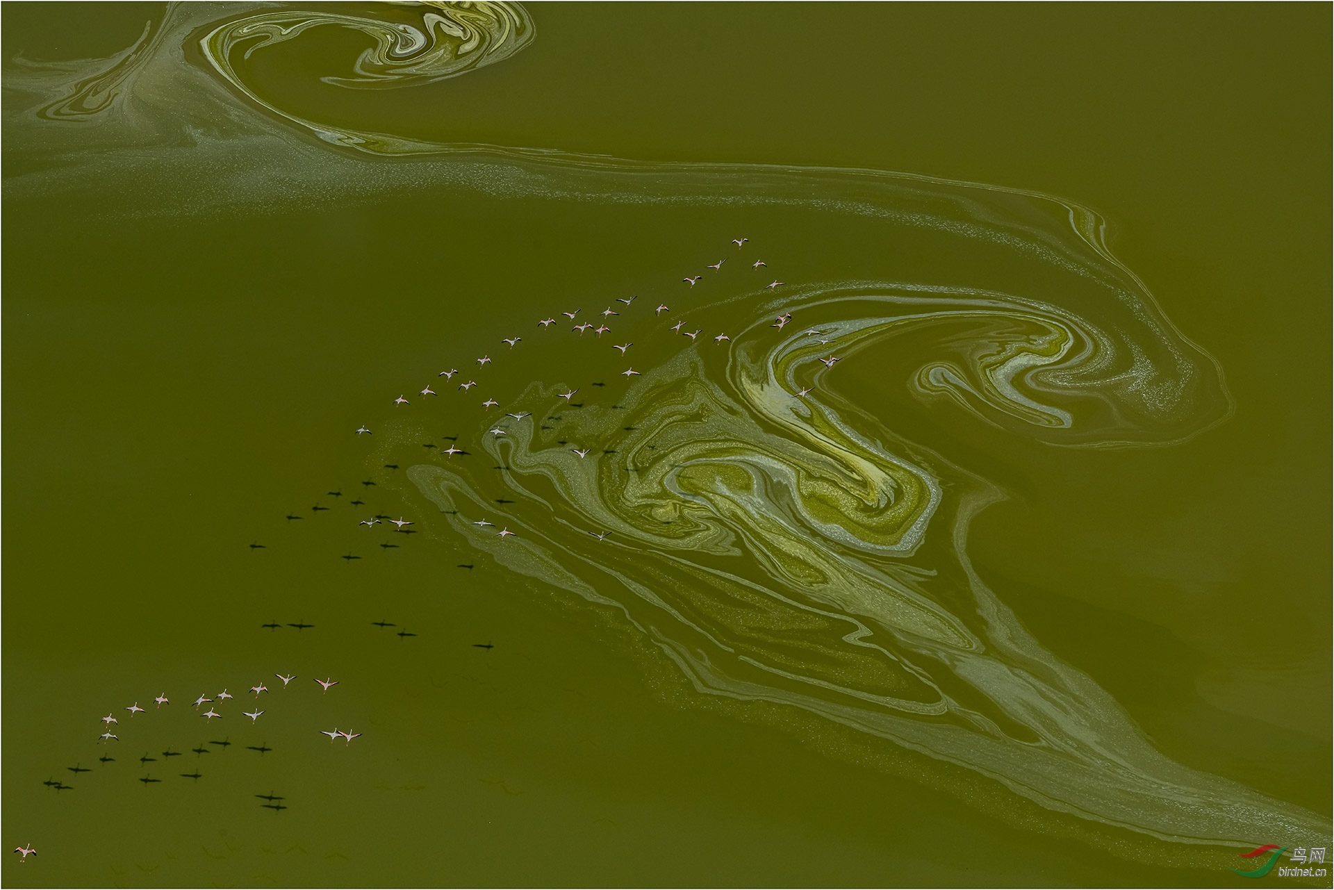 240.梦幻世界行�