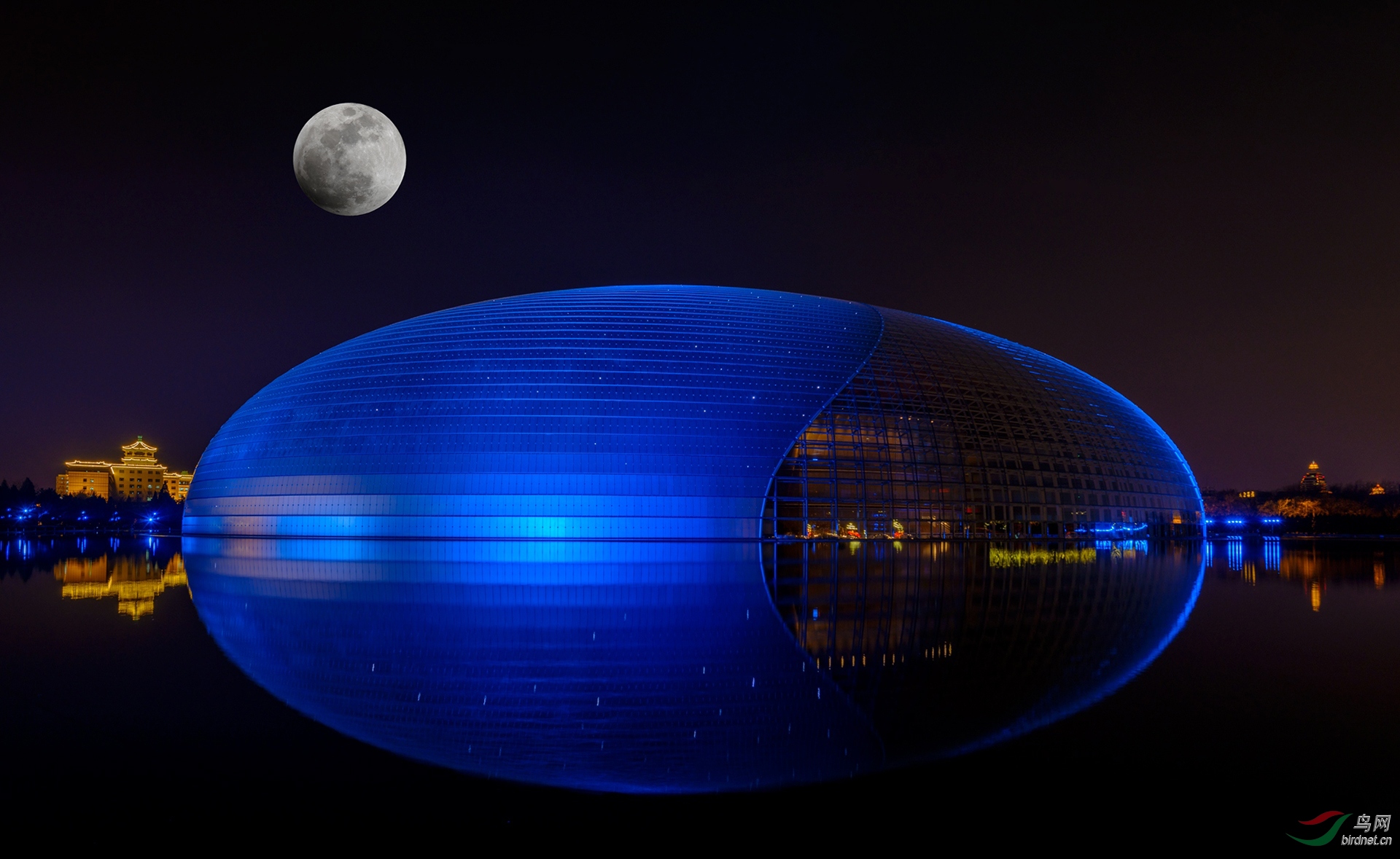 580.月下国家大剧�