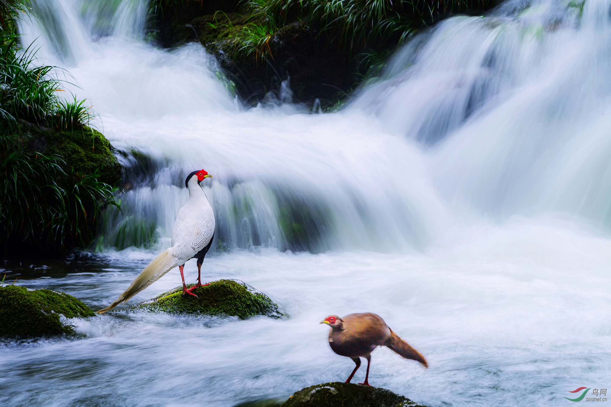 498.����ÿ� ����.jpg