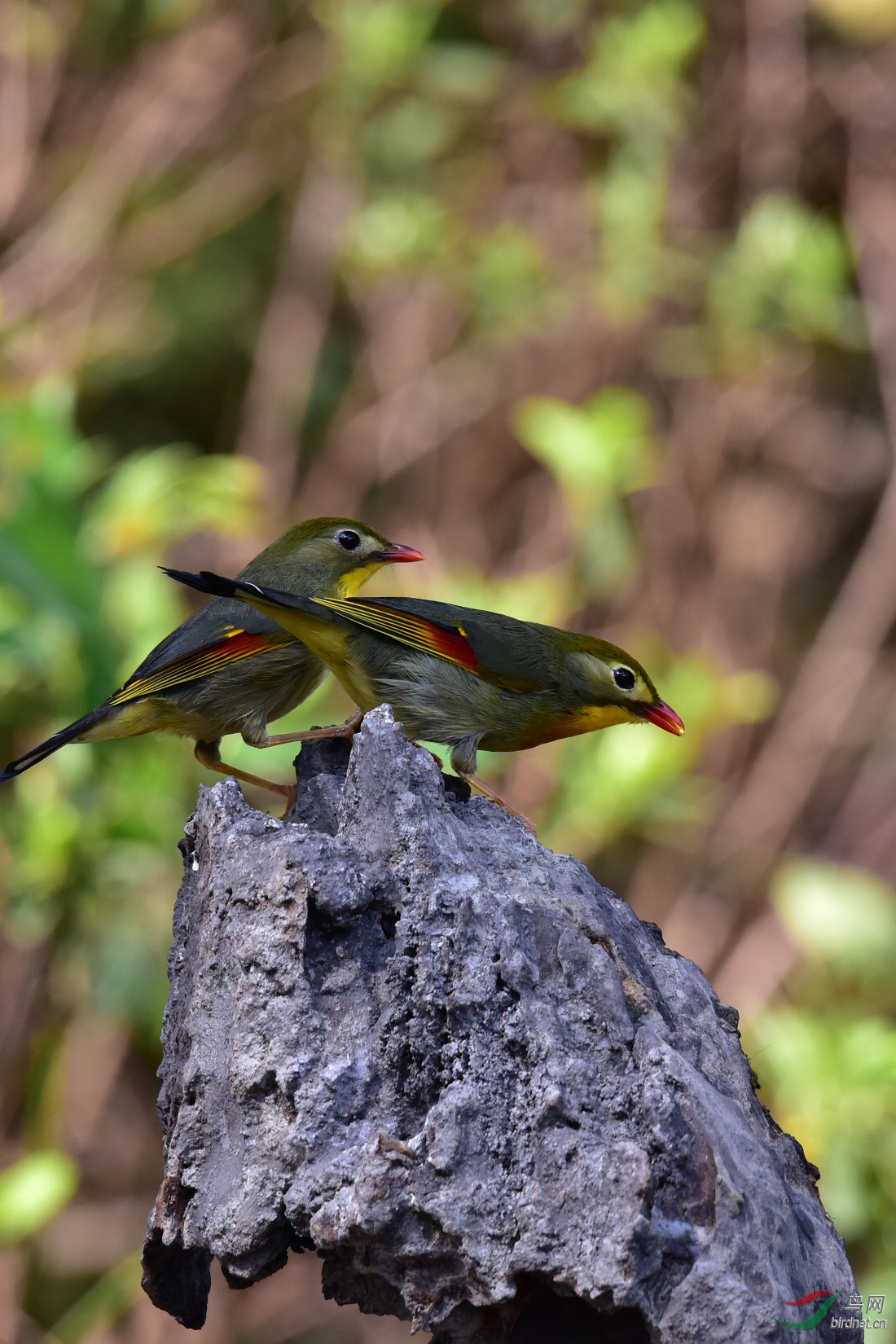 DSC_0791.JPG