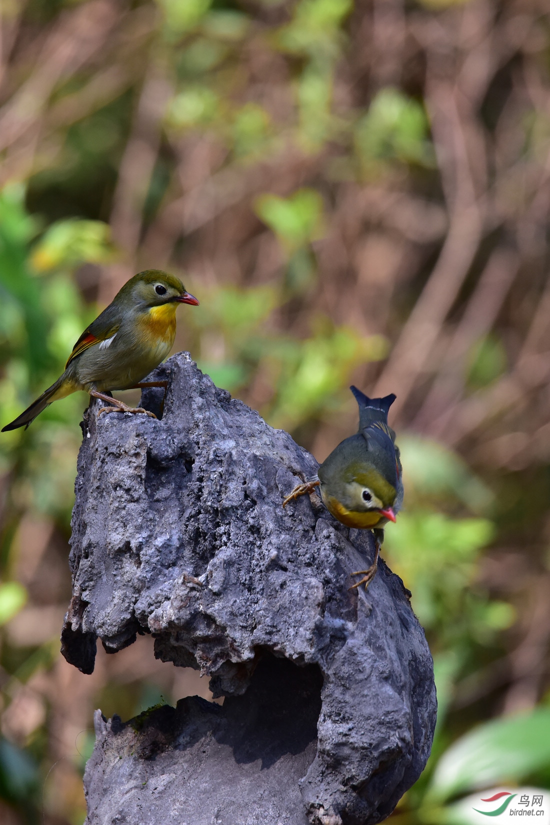DSC_0793.JPG