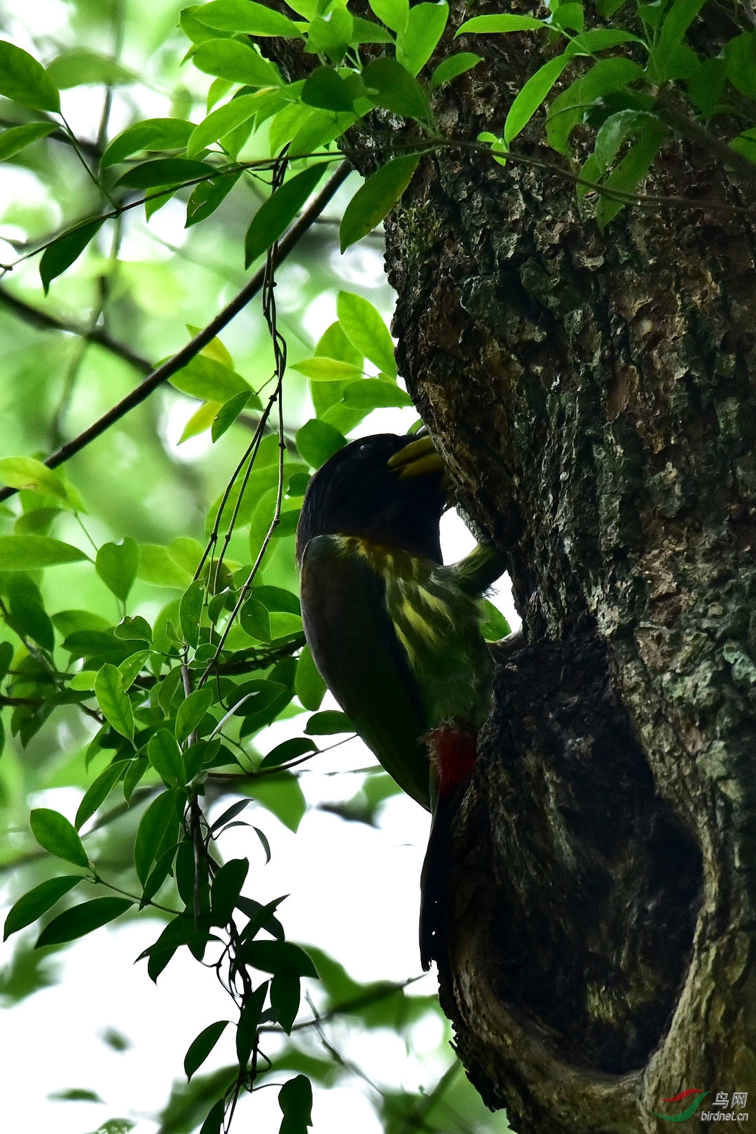 DSC_0065.JPG