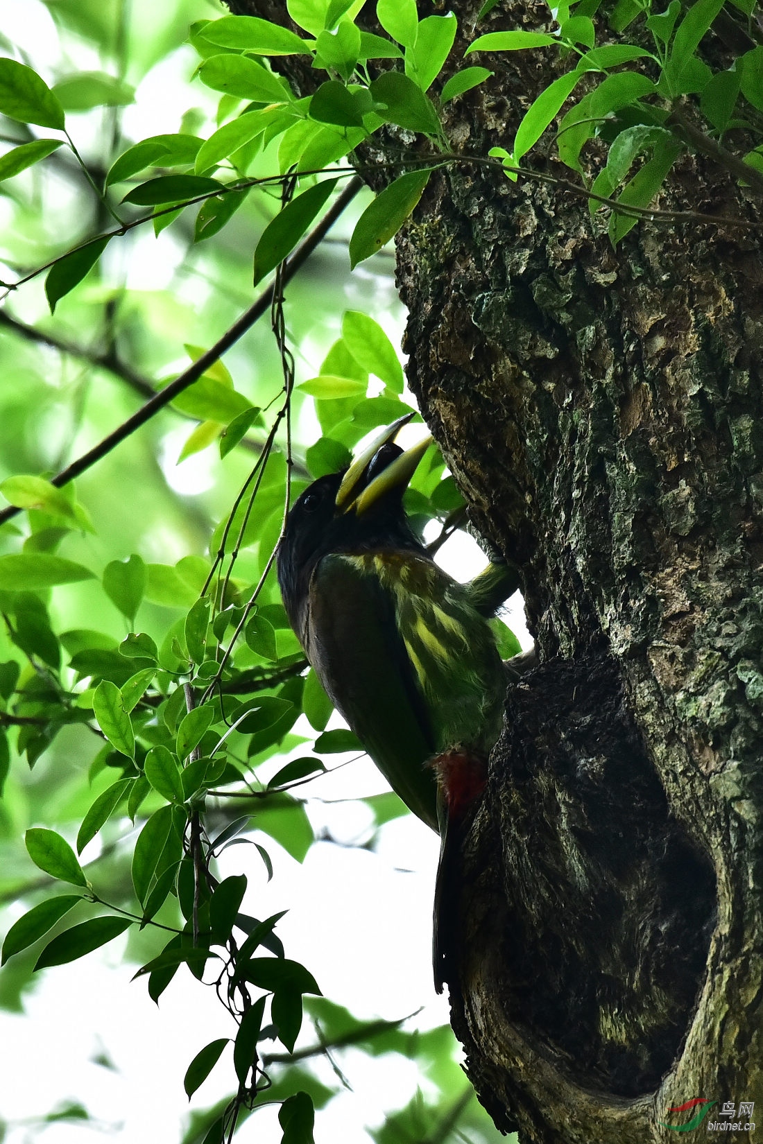 DSC_0066.JPG