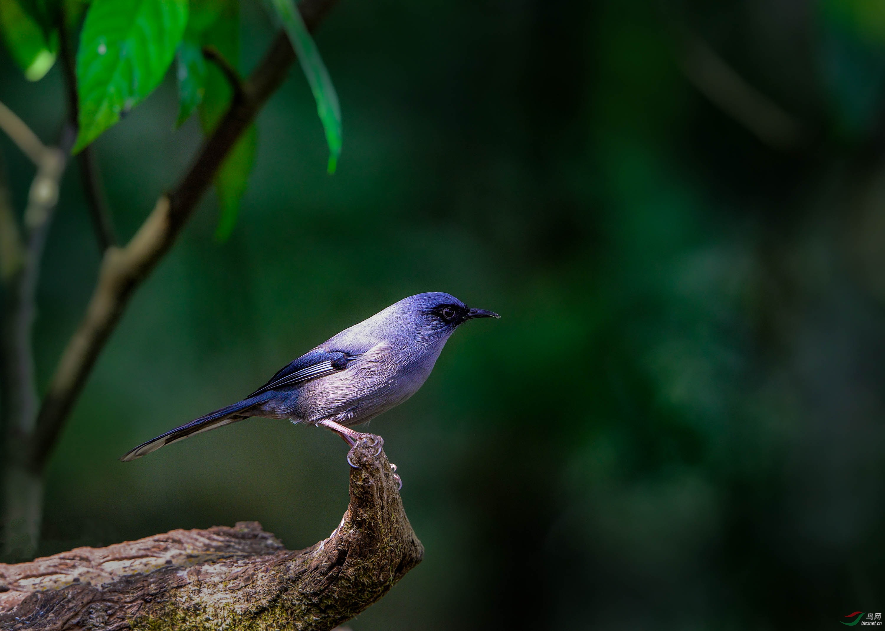 DSC_0578_--���Ϻ�--2.jpg