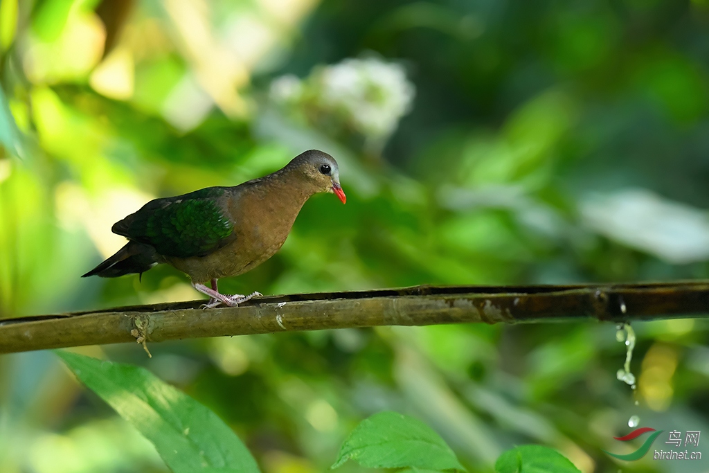 DSC_2534_DxOa.jpg