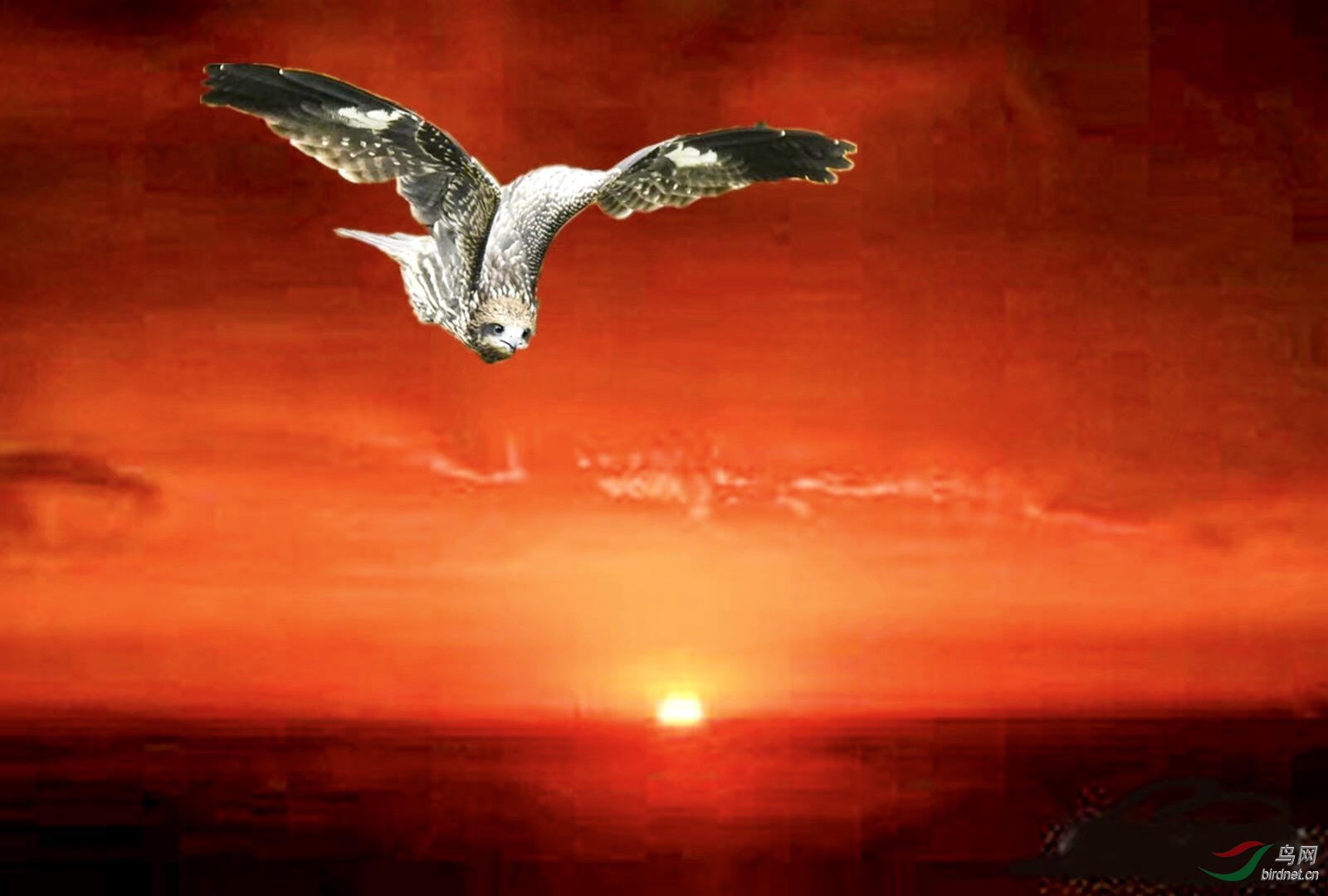 AC22A623-01FA-41C9-9BCC-0281BAE3CD49.jpeg